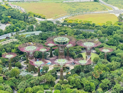 CÉ LA VI Singapore: Restaurant, SkyBar and Club Lounge thumb 3